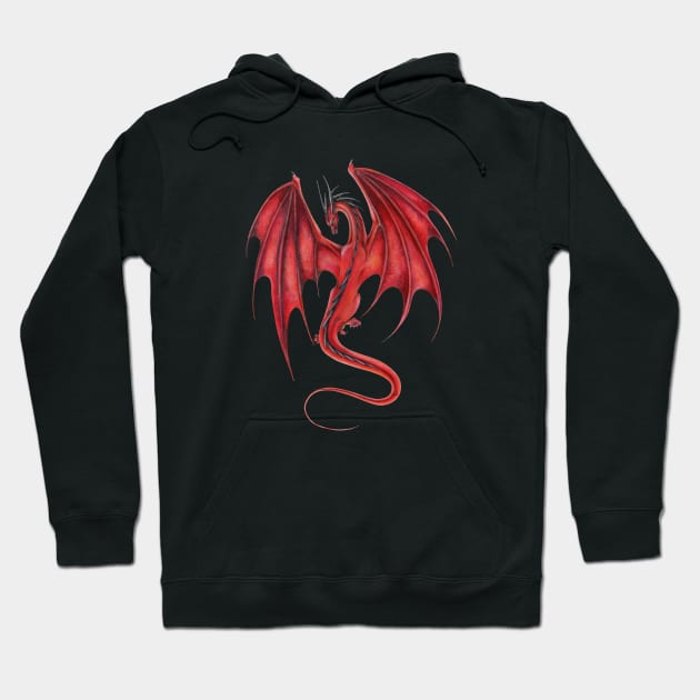 Dragon hoodie with wings deals